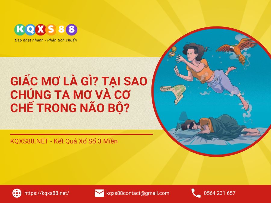 Giấc mơ là gì? Tại sao chúng ta mơ và cơ chế khi mơ?