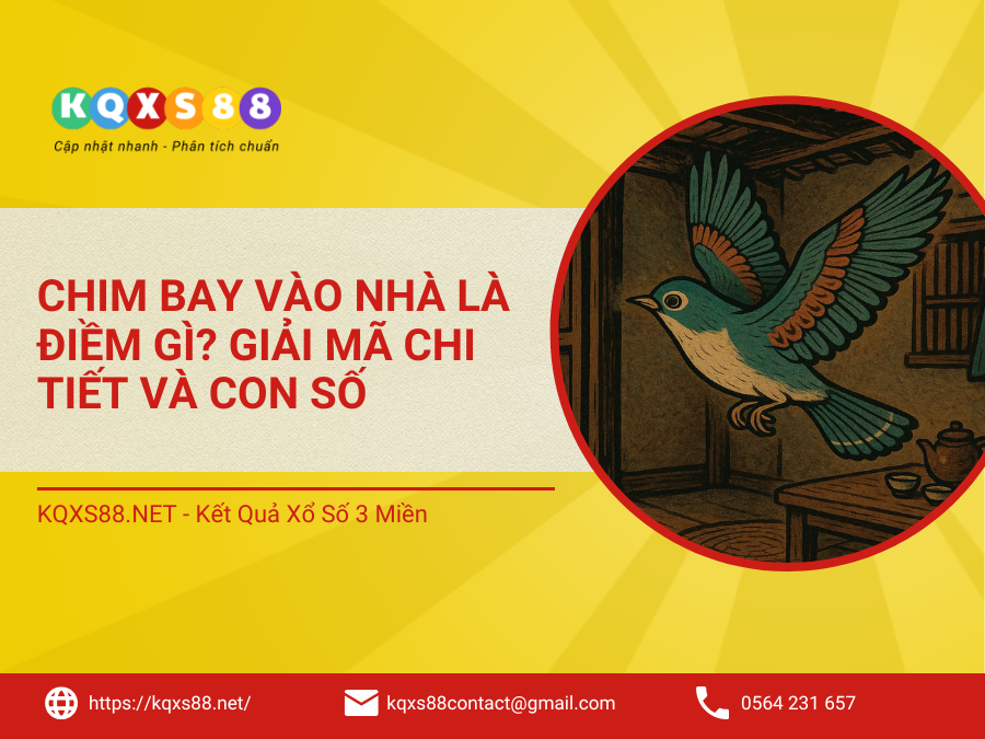 Chim Bay Vào Nhà: Tốt Hay Xấu? Nhận Biết Điềm Báo Theo Từng Trường Hợp