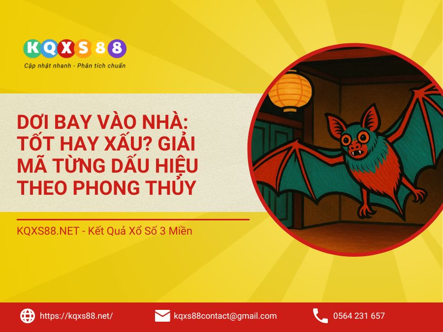 Dơi Bay Vào Nhà: Tốt Hay Xấu? Giải Mã Từng Dấu Hiệu Theo Phong Thủy