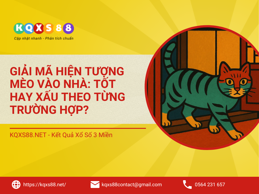 Giải Mã Điềm Báo Mèo Vào Nhà: Tốt Hay Xấu Theo Từng Trường Hợp?