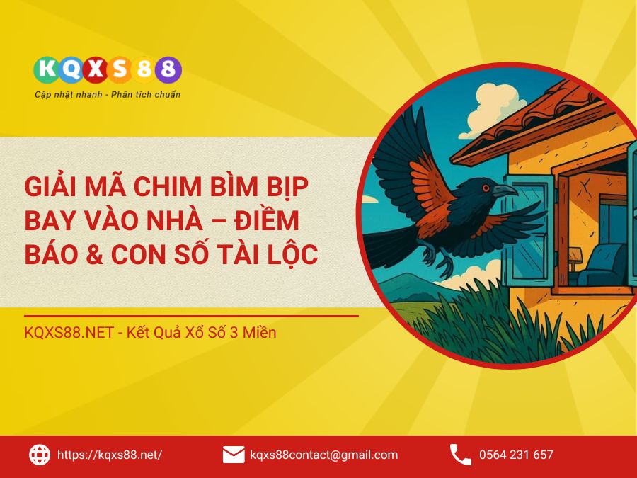 Giải Mã Chim Bìm Bịp Bay Vào Nhà – Điềm Báo & Con Số Tài Lộc